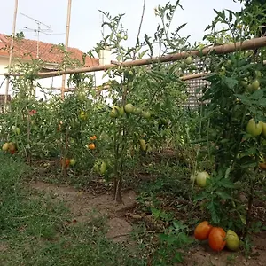 Eira Da Mila Coimbra